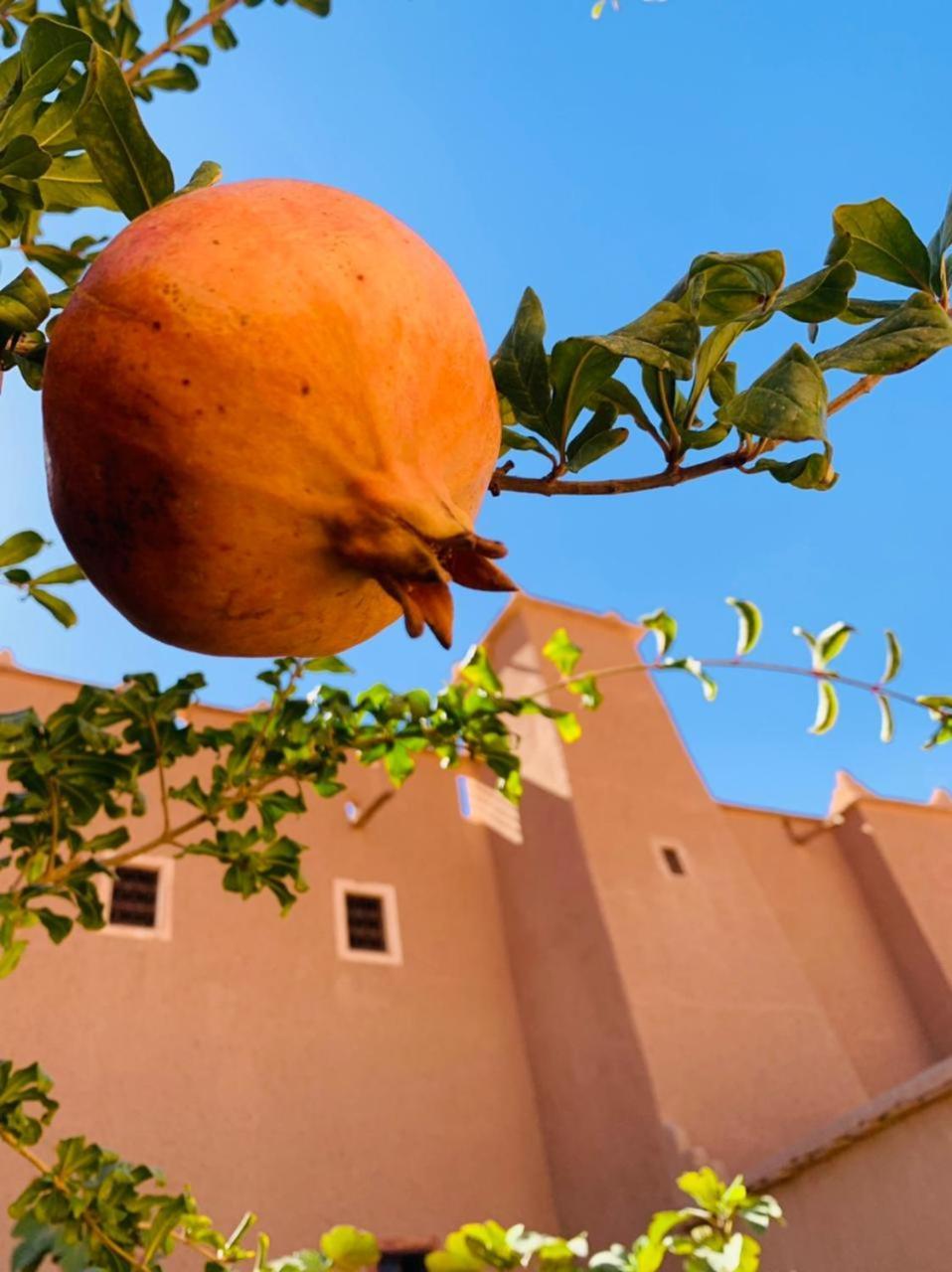 فندق La Perle De Saghro نكوب المظهر الخارجي الصورة