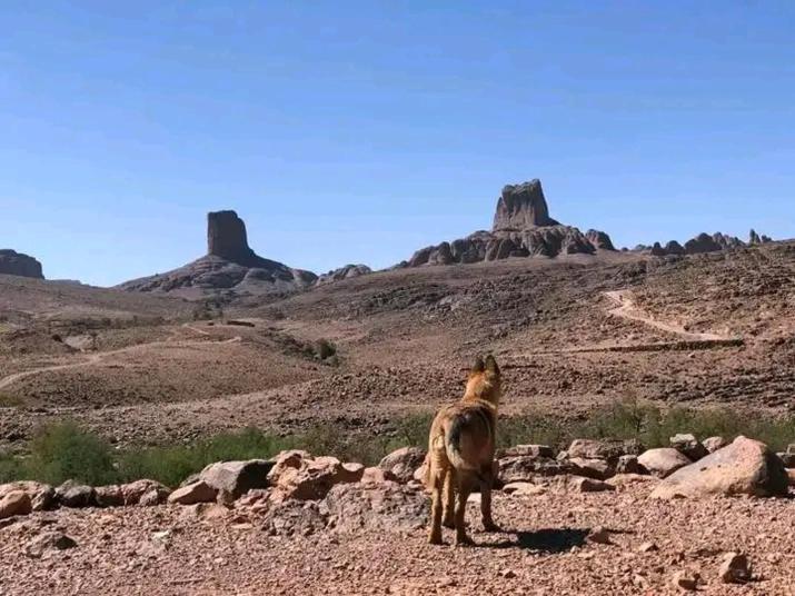 فندق La Perle De Saghro نكوب المظهر الخارجي الصورة